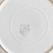 Dessert plate Boch Frères model Grand Bouquet
