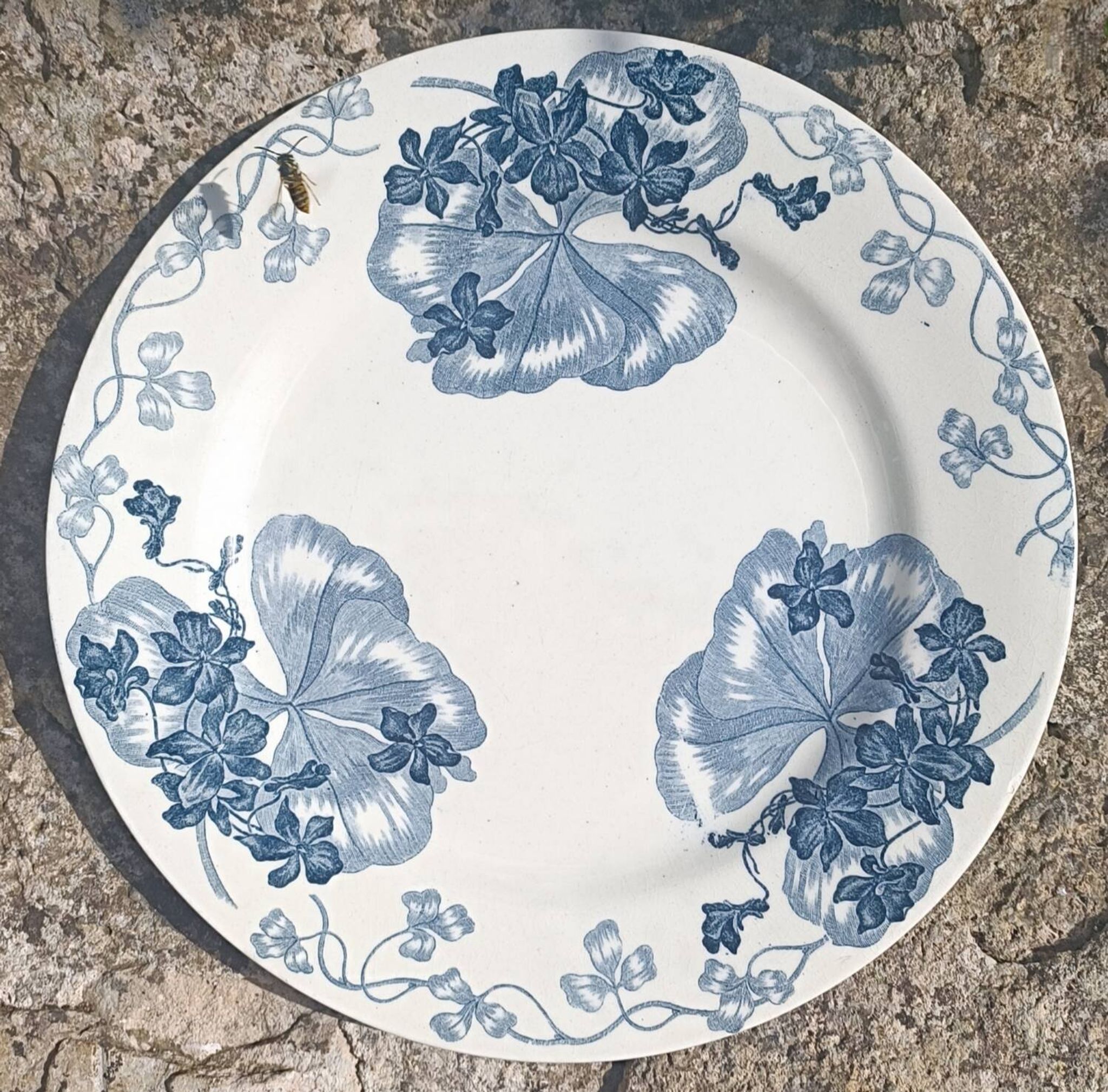 Iron earth plate Salins