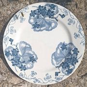 Iron earth plate Salins