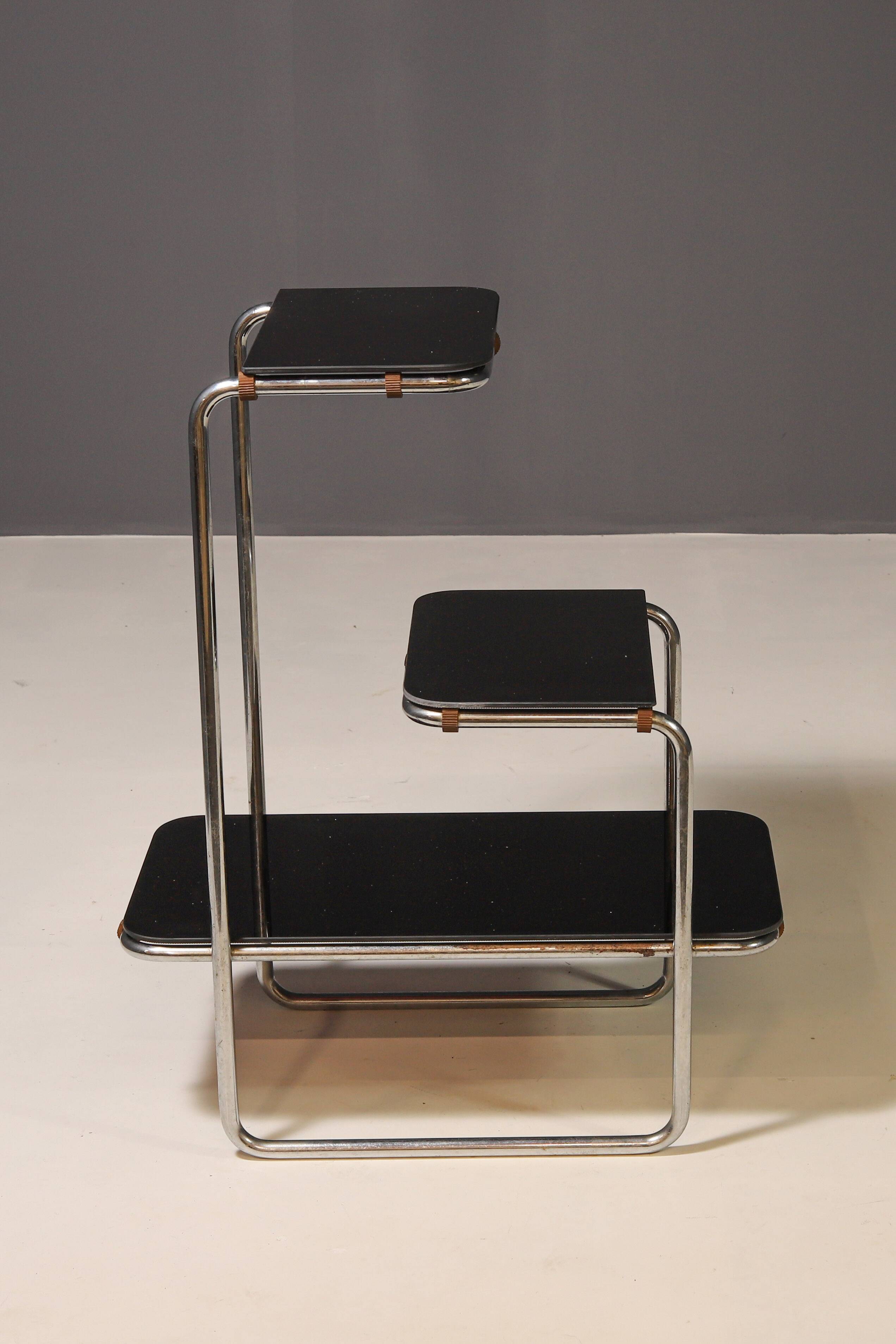 Functionalist Étagère B8 by Anton Lorenz for Slezák company, 1930s–1940s