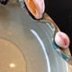 Paris ceramic dish with slip decoration, by Suzy Coste