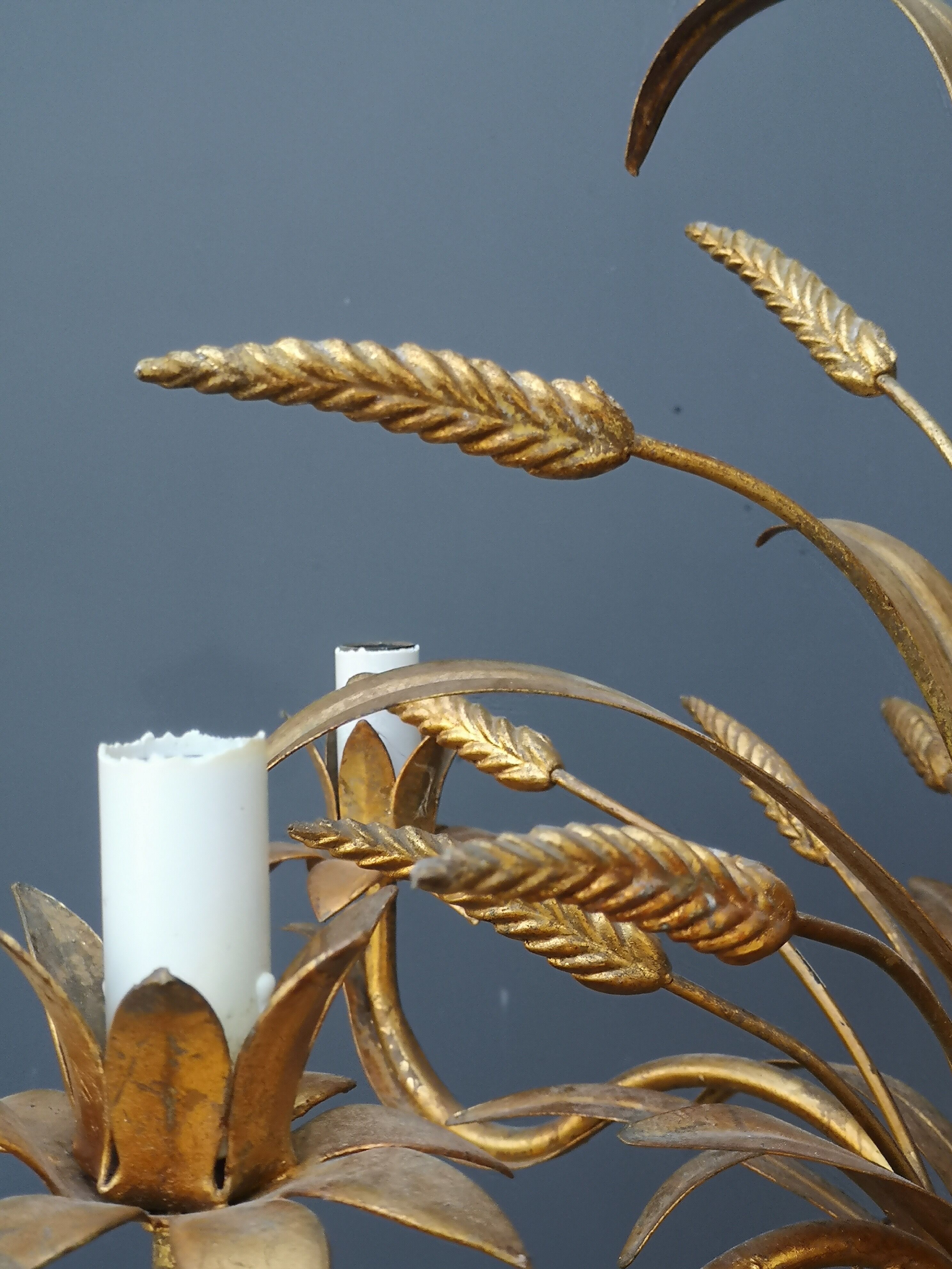 Golden lustre wheat epis