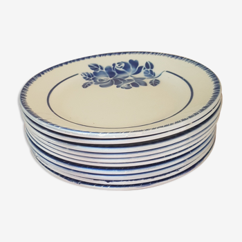 Assiettes en céramique bleue