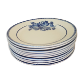 Blue ceramic plates
