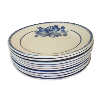 Blue ceramic plates
