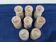 8 mazagrans stamped sandstone village CNP