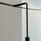 Nestore Terra XXL f