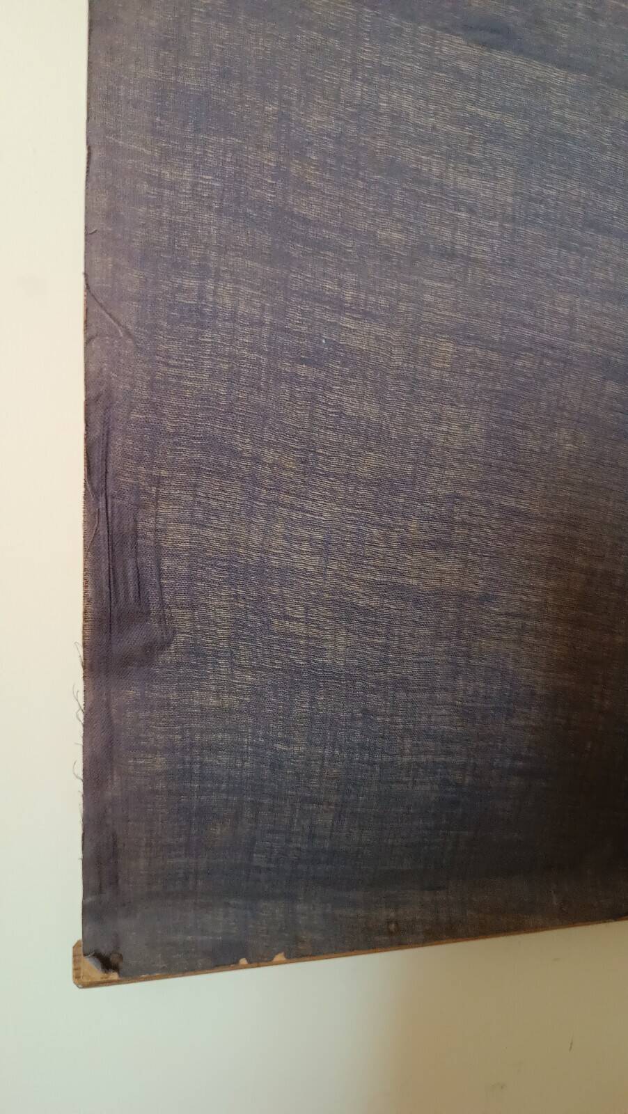 Antique print of a liberty plate by Prof. Andreani Isidoro - botanical plants, early 1900s