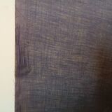 Antique print of a liberty plate by Prof. Andreani Isidoro - botanical plants, early 1900s