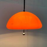 Space Age Pendant Lamp Cabras by Luigi Massoni for Guzzini, 1960s