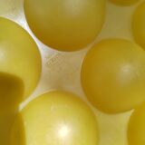 Set of 2 egg cartons 70s 80s