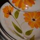 12 assiettes "Primula" Italy vintage