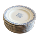 Lot 12 flat plates Iron Earth Blue Clairefontaine Greek