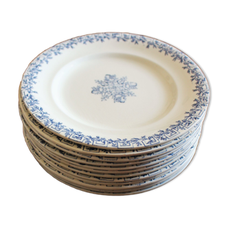 Lot 12 flat plates Iron Earth Blue Clairefontaine Greek