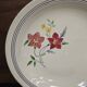Lot de 6 assiettes demi creuses anciennes Salin France "Martine"