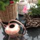 Arrosoir en cuivre brossé par Lecellier Villedieu vintage  années 60-70