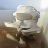 Anthropomorphic jug in slipware