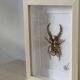 Hand-embroidered insect tableau (unique piece)