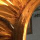 Golden wood sun mirror years 60
