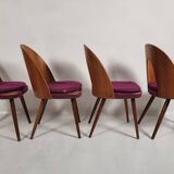 Vintage chairs by Antonin Suman from the 1960s, Set of 4