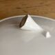 Royal Canterbury Anna fine bone china tureen or dish