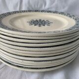 Lot of 12 old flat plates and 2 dishes, Terre de fer Henri II Salins