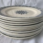 Lot of 12 old flat plates and 2 dishes, Terre de fer Henri II Salins