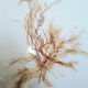 Pair of signed herbarium frames