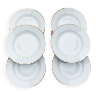 Lot grande assiette et grande assiette creuse en porcelaine C.G.