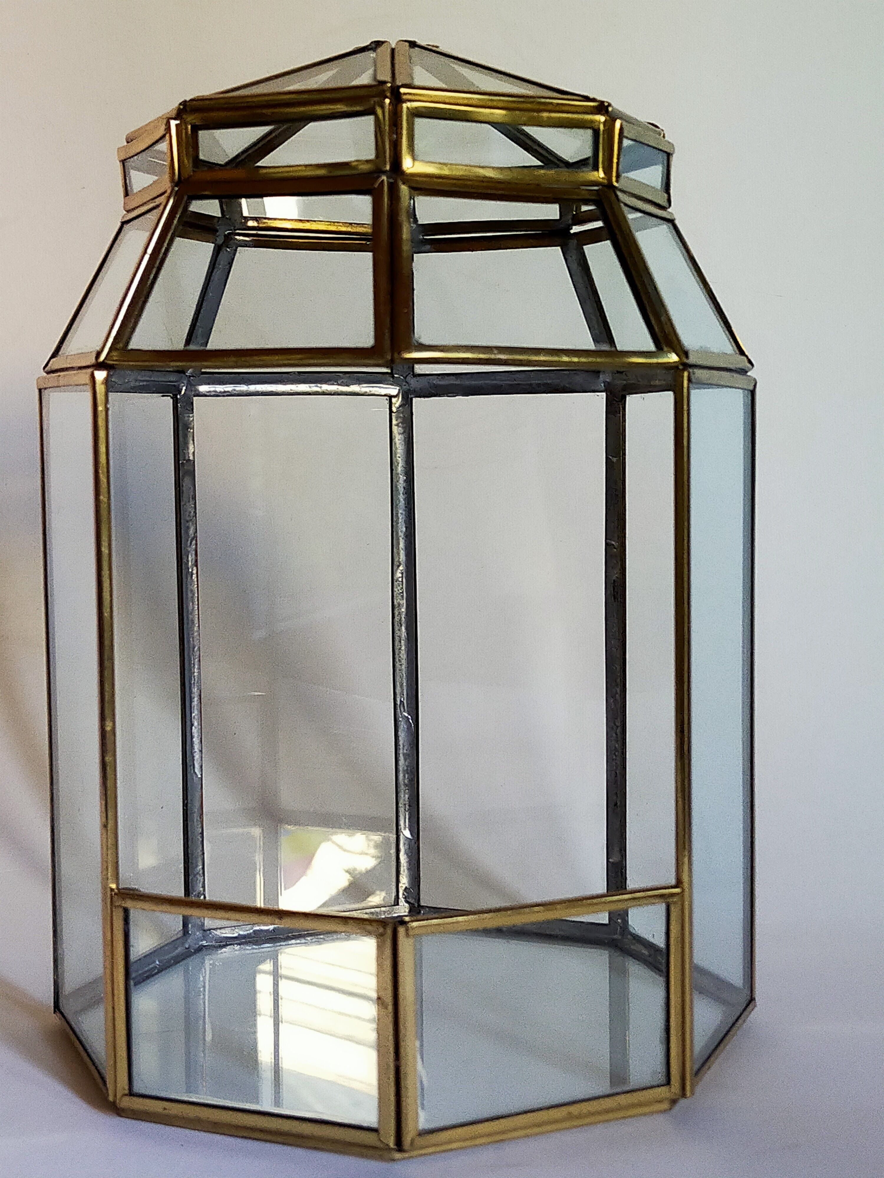 Indoor greenhouse-terrarium in brass