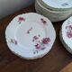 12 VINTAGE PORCELAIN PLATES "HAVILAND"