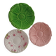 Assiettes Jacques Molin et Salins les Bains