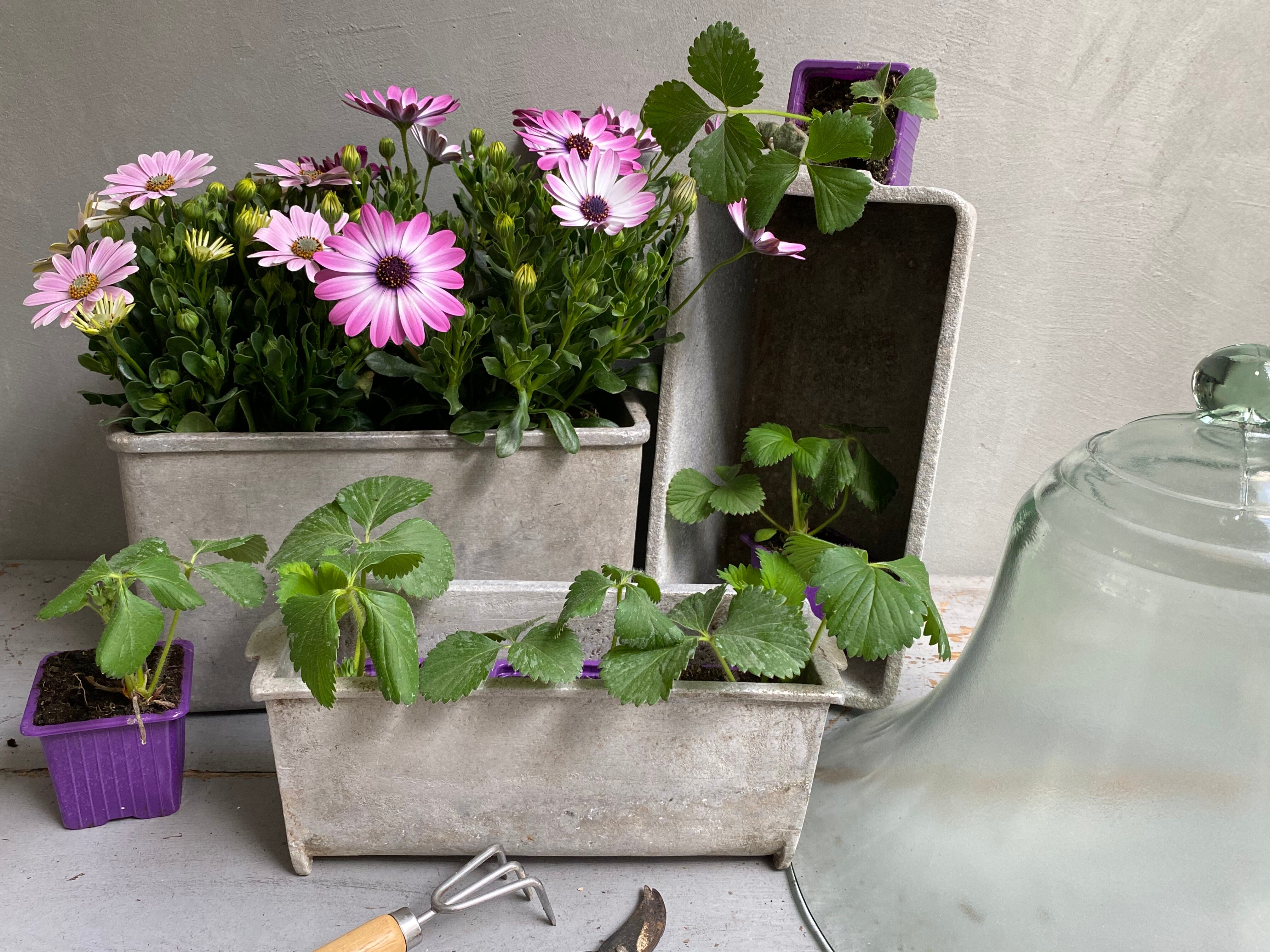 Small industrial planter