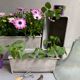 Small industrial planter
