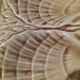 5 Sarreguemines caramel shell plates, 1950s