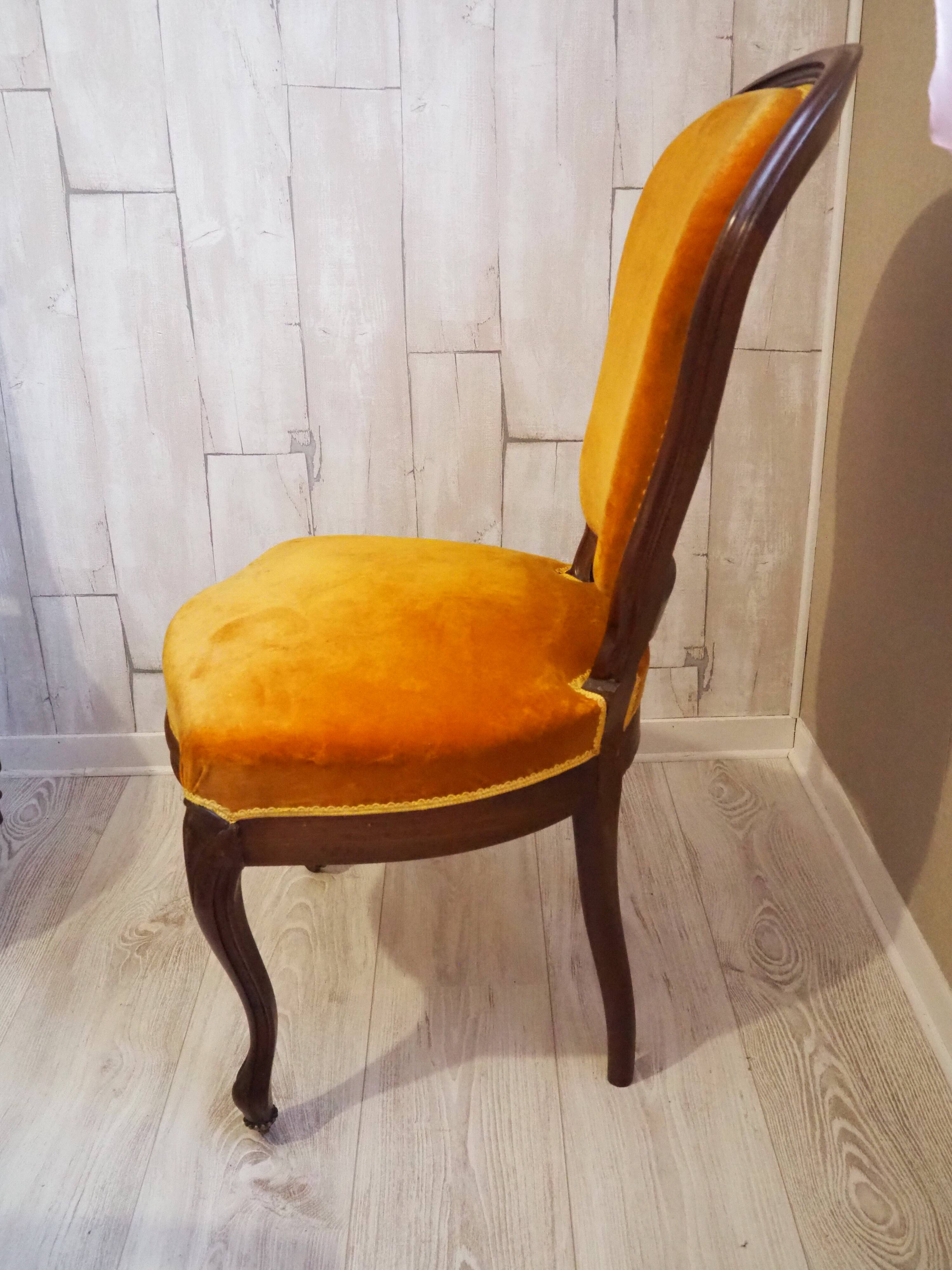 Antique Louis Philippe style padded chair - Wooden structure and horsehair padding - Color m
