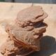 Natural sand rose