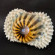 Murano opaline glass bowl, Italy, 1950s-1960s