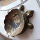 Vintage brass pocket tray in the shape of a turtle