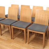 Set of 8 dining room chairs, Pedrali