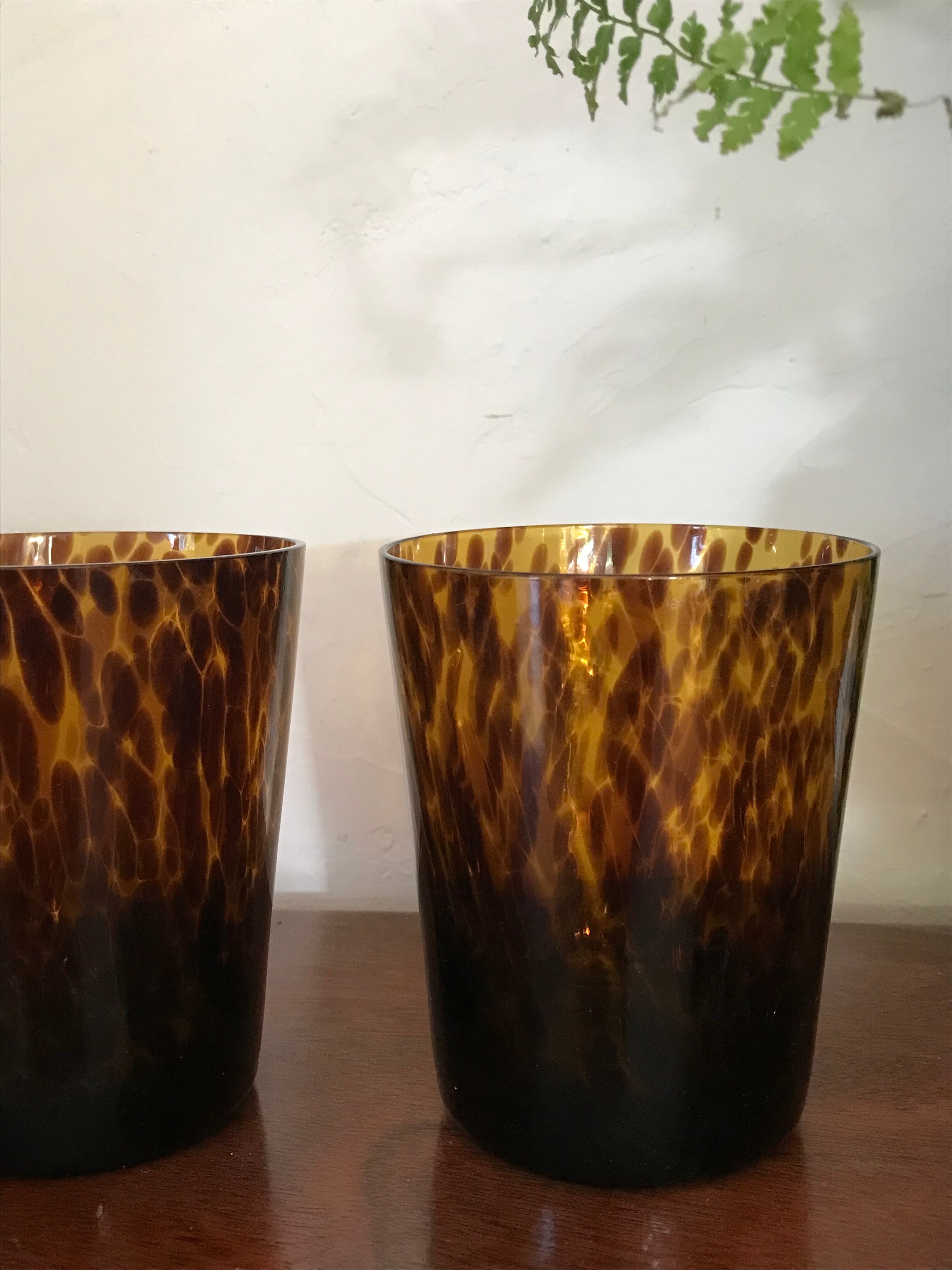 Six glasses tortoiseshells