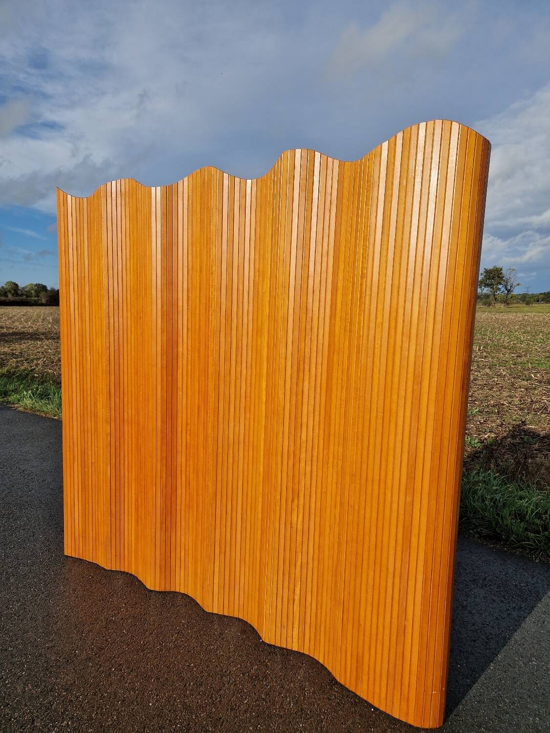 Baumann slat screen