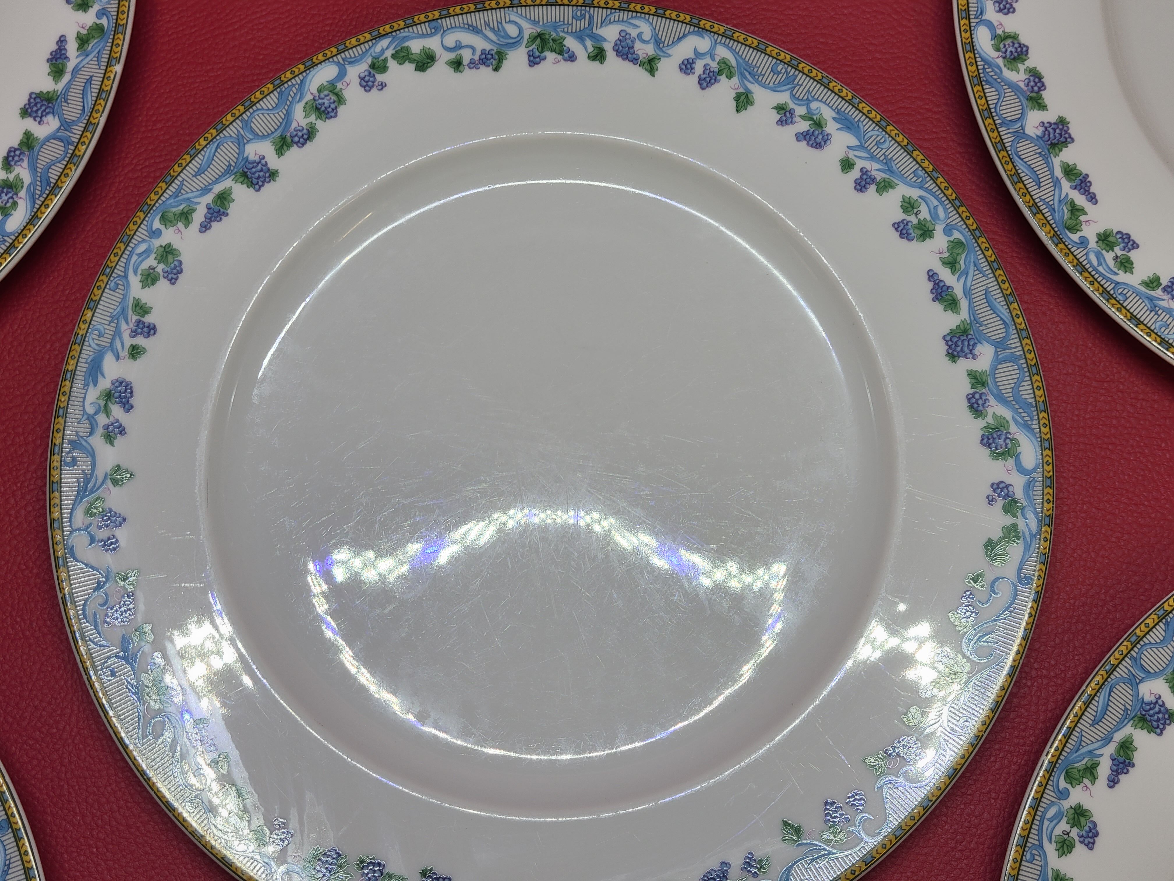 5 large flat plates guy degrenne model tuscany porcelain limoges