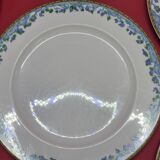 5 large flat plates guy degrenne model tuscany porcelain limoges