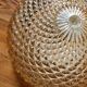 Sea urchin ceiling light