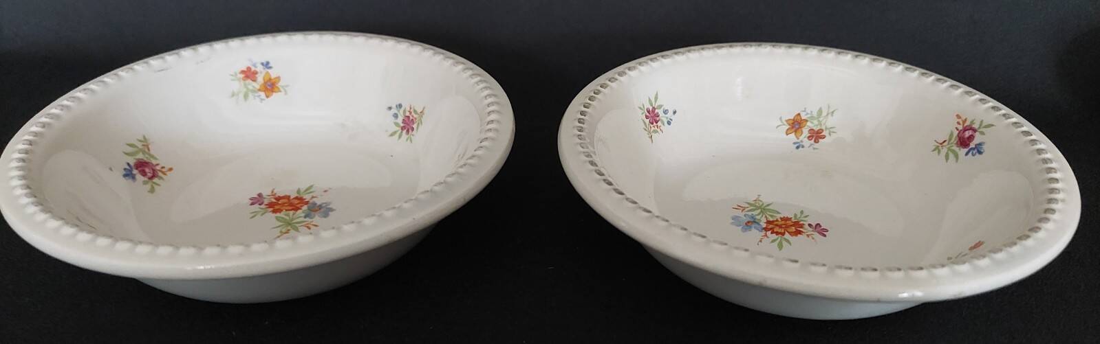 Pair of Digoin earthenware bowls with cliff decoration