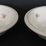 Pair of Digoin earthenware bowls with cliff decoration