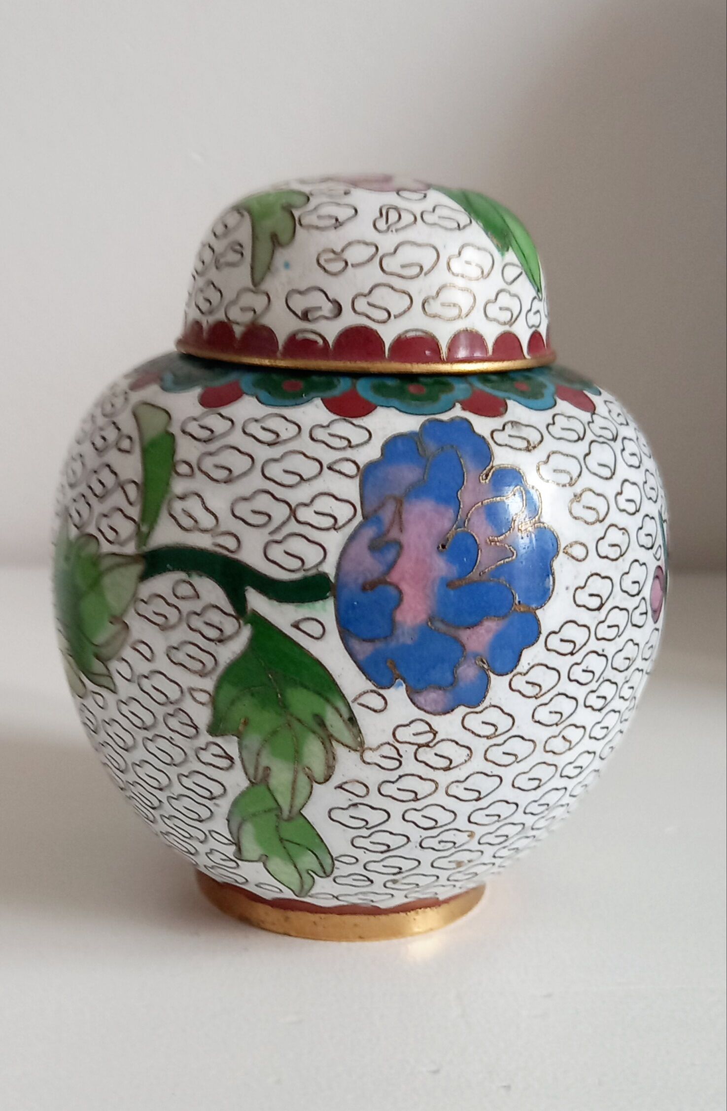 Partitioned ginger pot