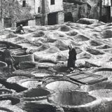 Photographie ancienne noir et blanc argentique début XXe