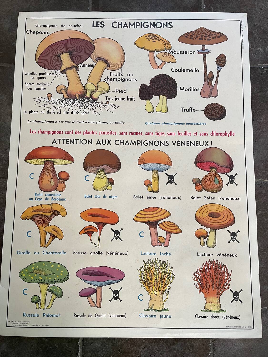 Old educational school poster, school